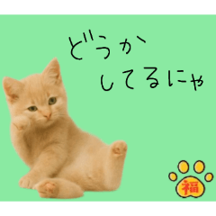 [LINEスタンプ] ネコの福のお言葉（みどり）