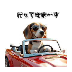 [LINEスタンプ] びぃ〜ぐる犬☆