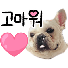 [LINEスタンプ] コタロースタンプ 皆さんで気軽に使って