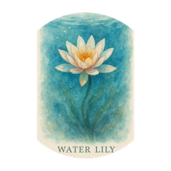 [LINEスタンプ] 水辺で咲く花:Waterside Flowers