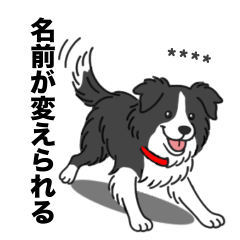 [LINEスタンプ] 名前入りボーダーコリーブラック
