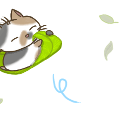 [LINEスタンプ] まん丸三毛猫ちゃん