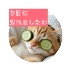 [LINEスタンプ] ネコチャンたちが誘うスタンプ