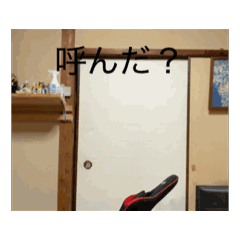 [LINEスタンプ] おーいくんスタンプ！！！