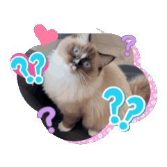 [LINEスタンプ] Rico sticker 2