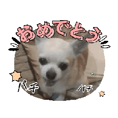 [LINEスタンプ] 動く！？428