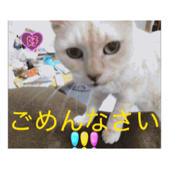 [LINEスタンプ] くーちゃんレオくんゆったん