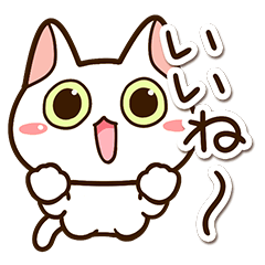 [LINEスタンプ] 楽しくかわいいシロねこ
