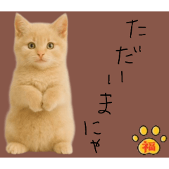 [LINEスタンプ] ネコの福のお言葉（ブラウン）