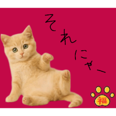 [LINEスタンプ] ネコの福のお言葉（赤）