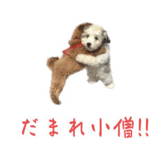 [LINEスタンプ] かわいい犬.