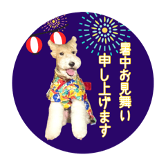 [LINEスタンプ] ワイヤーフォックステリアの夏の思い出②