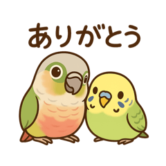 [LINEスタンプ] インコのまいにちスタンプ