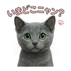 [LINEスタンプ] 子ネコverロシアンブルー
