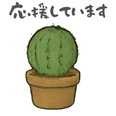 [LINEスタンプ] やさしみ深めなサボテン