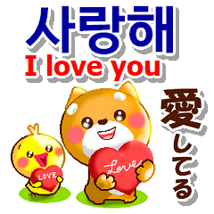 [LINEスタンプ] 韓国語「ハングル」,日本語,英語 . 連絡用