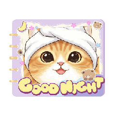 [LINEスタンプ] こんなの無かった