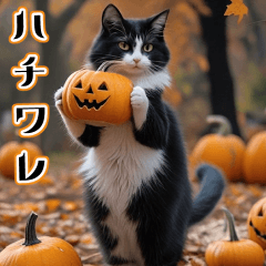 [LINEスタンプ] 飛び出す★秋を感じる・ハチワレ猫の秋ハロ