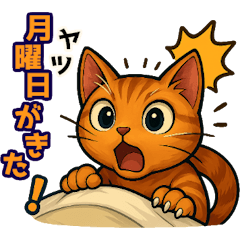 [LINEスタンプ] 猫のとらた3