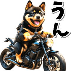 [LINEスタンプ] 即返信♡バイク好き 黒柴