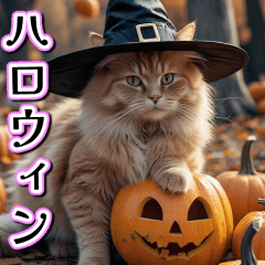 [LINEスタンプ] 飛び出す★秋を感じる・茶トラ猫【ハロウィ