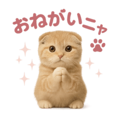 [LINEスタンプ] 子ネコverスコティッシュフォールド