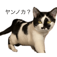 [LINEスタンプ] まーさん★