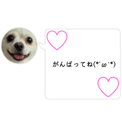 [LINEスタンプ] ポメチワのUruくん(10)