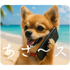 [LINEスタンプ] 癒しワンコtme00880202