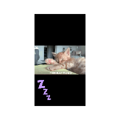 [LINEスタンプ] リアクション-9