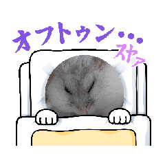 [LINEスタンプ] はむすたーparadise