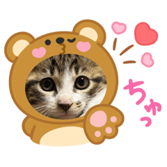 [LINEスタンプ] 保護猫ぽんずのLINEスタンプ