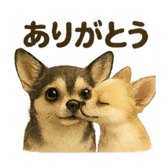 [LINEスタンプ] らいとぱる。