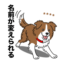 [LINEスタンプ] 名前入りボーダーコリーブラウン