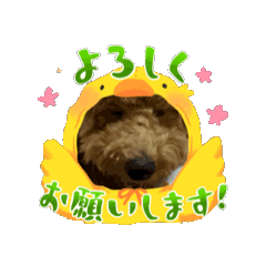 [LINEスタンプ] チョコくんスタンプ 2