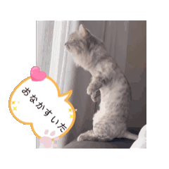 [LINEスタンプ] めろんの日常1