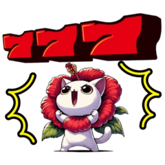 [LINEスタンプ] 【New❗️】ハイビにゃん‼️…………