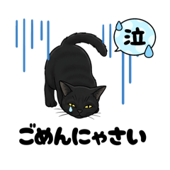 [LINEスタンプ] 『黒猫』のスタンプ