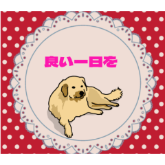 [LINEスタンプ] 朝の挨拶中心の犬スタンプ