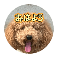 [LINEスタンプ] チョコとハムスターのスタンプ 4
