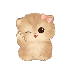 [LINEスタンプ] 大きな目をした可愛い子猫 （NT）