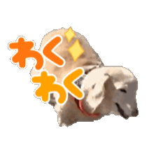 [LINEスタンプ] 川口家のちょこまろらて2