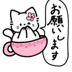 [LINEスタンプ] もちにゃあの毎日使えるスタンプ