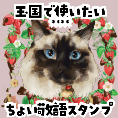 [LINEスタンプ] ちょっぴり敬語のスタンプ 変身シリーズ