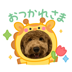 [LINEスタンプ] チョコくんスタンプ 3