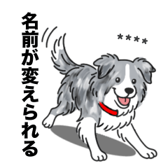 [LINEスタンプ] 名前入りボーダーコリーブルーマール