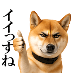 [LINEスタンプ] 眼力で語るアニマル