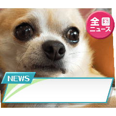 [LINEスタンプ] テキスト428