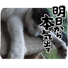 [LINEスタンプ] 闇ネコ1
