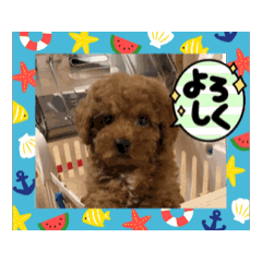 [LINEスタンプ] うみすけ3